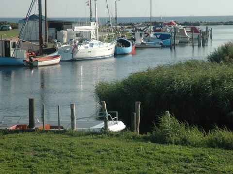 p_0003.JPG